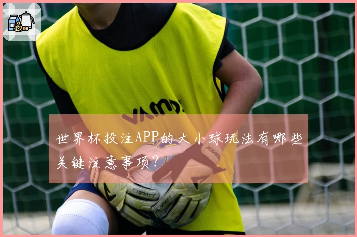世界杯投注APP的大小球玩法有哪些关键注意事项？