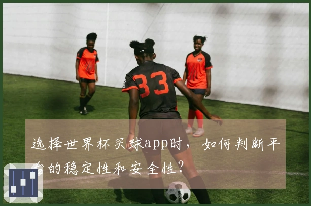 选择世界杯买球app时，如何判断平台的稳定性和安全性？