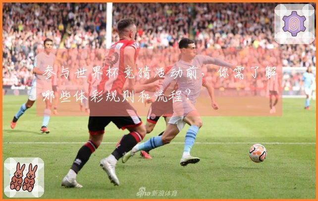 参与世界杯竞猜活动前，你需了解哪些体彩规则和流程？