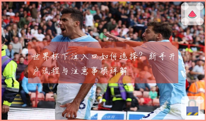 世界杯下注入口如何选择？新手开户流程与注意事项详解