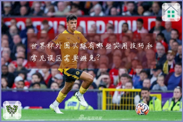 世界杯外围买球有哪些实用技巧和常见误区需要避免？