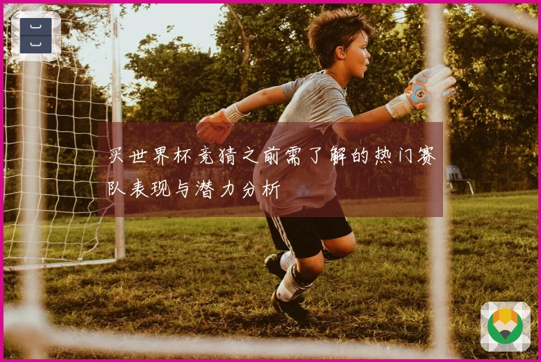 买世界杯竞猜之前需了解的热门赛队表现与潜力分析