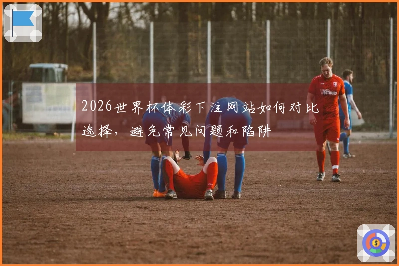 2026世界杯体彩下注网站如何对比选择，避免常见问题和陷阱