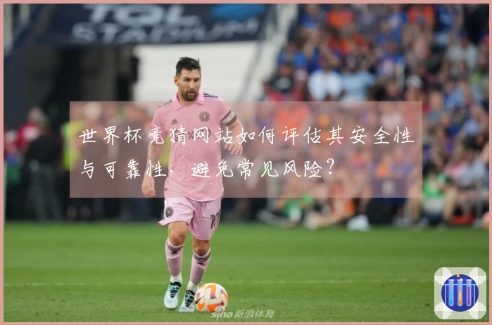 世界杯竞猜网站如何评估其安全性与可靠性，避免常见风险？