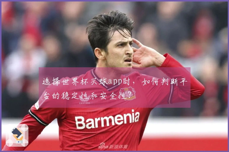 选择世界杯买球app时，如何判断平台的稳定性和安全性？