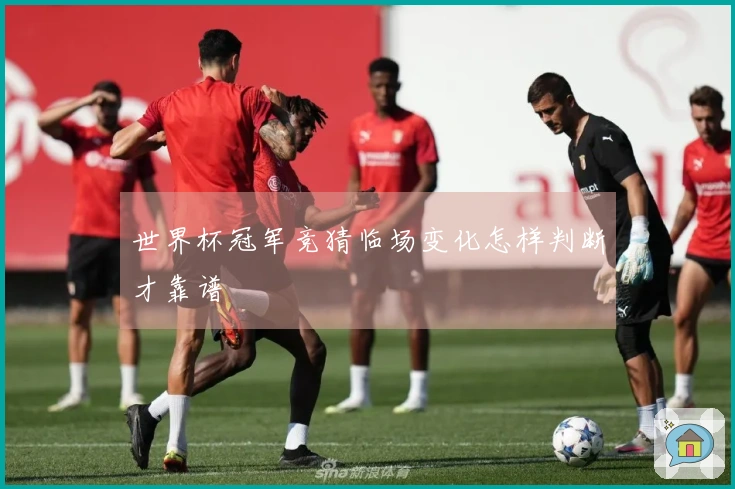 世界杯冠军竞猜临场变化怎样判断才靠谱