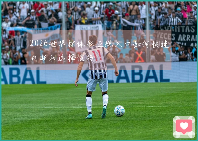 2026世界杯体彩正规入口如何快速判断和选择技巧