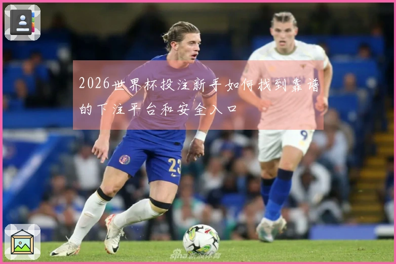 2026世界杯投注新手如何找到靠谱的下注平台和安全入口