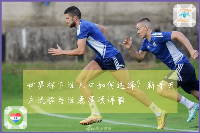 世界杯下注入口如何选择？新手开户流程与注意事项详解