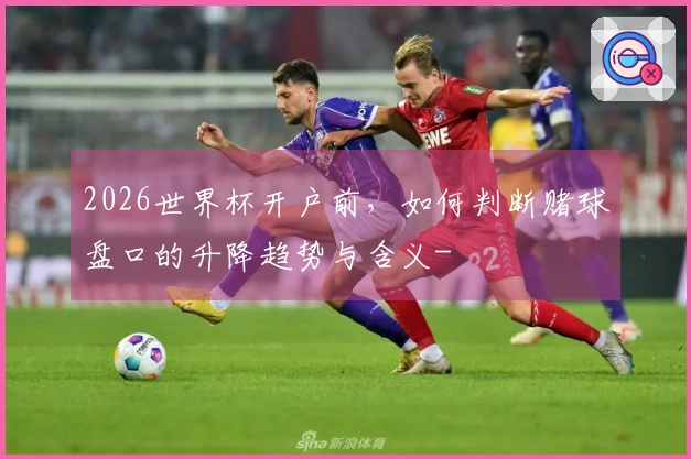 2026世界杯开户前，如何判断赌球盘口的升降趋势与含义-