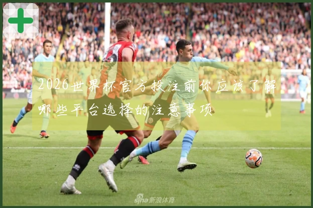 2026世界杯官方投注前你应该了解哪些平台选择的注意事项
